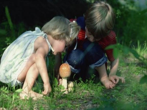 Science Experiments for Kids